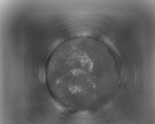 X0000067500110200604150118