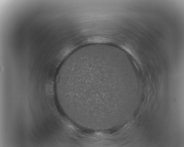 X0000067500111200604150118