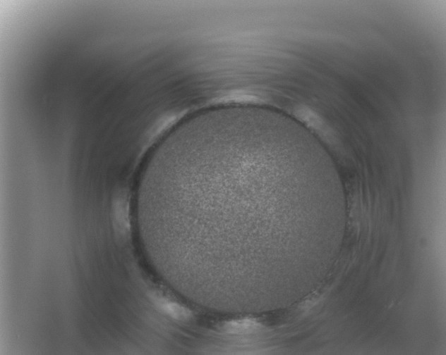 X0000067500112200604150118