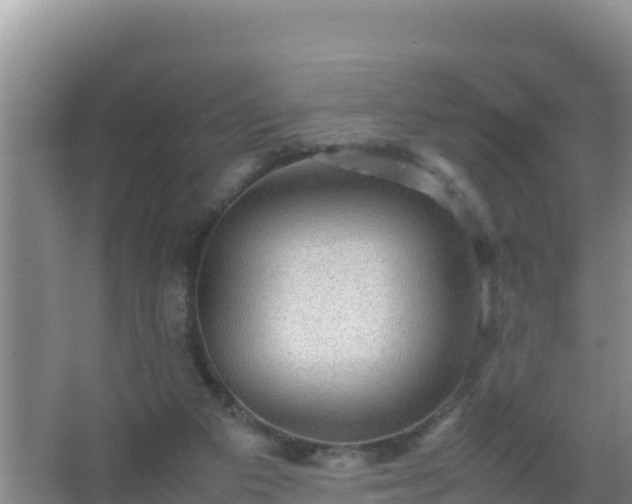 X0000067500113200604150118