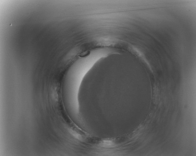 X0000067500114200604150118