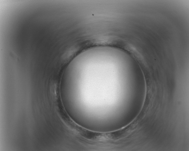 X0000067500115200604150118