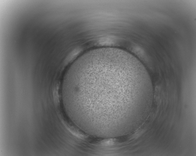 X0000067500116200604150118