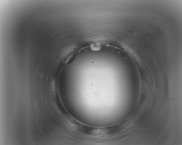 X0000067500117200604150118