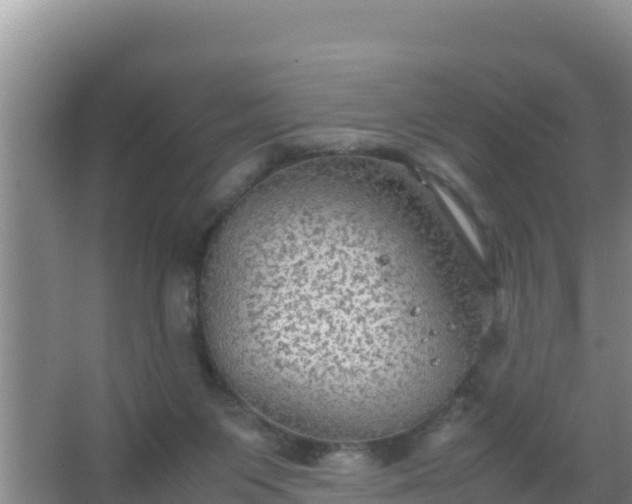 X0000067500119200604150117