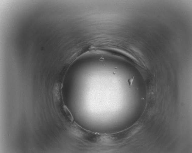 X0000067500121200604150117