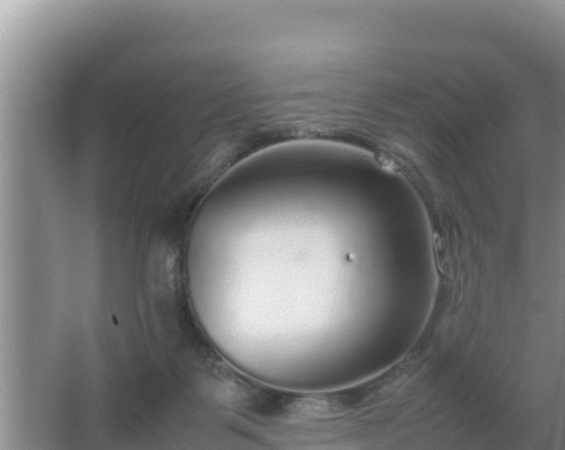 X0000067500123200604150117