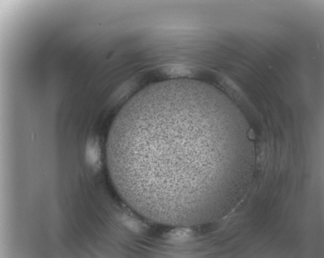 X0000067500124200604150117