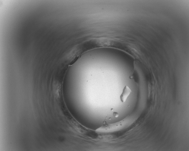 X0000067500125200604150117