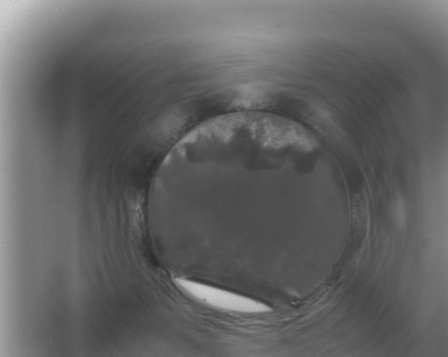 X0000067500127200604150117