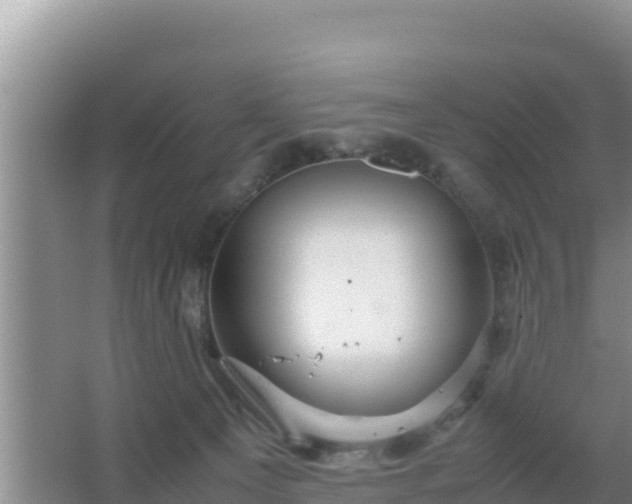 X0000067500129200604150117