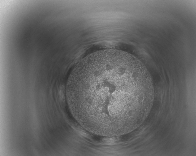 X0000067500131200604150117