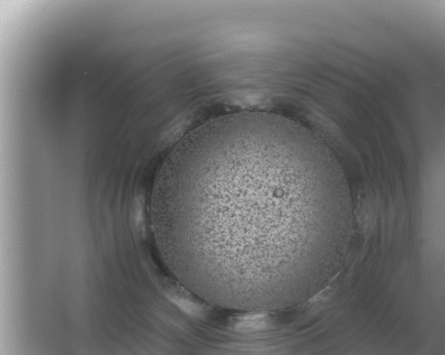 X0000067500132200604150117