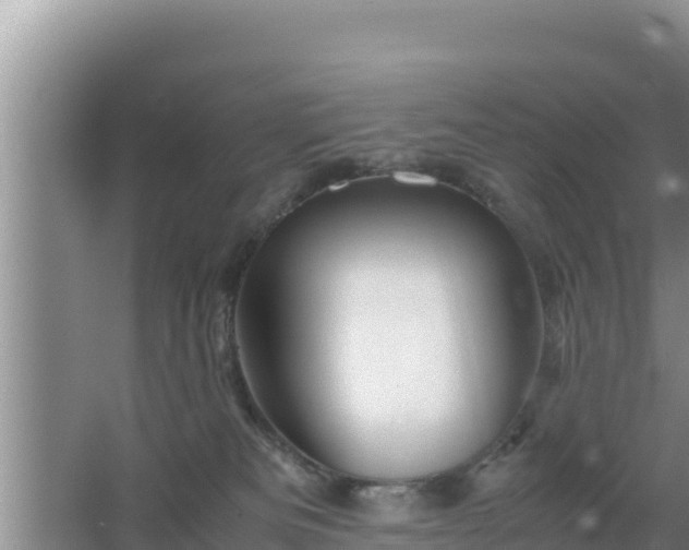 X0000067500133200604150117