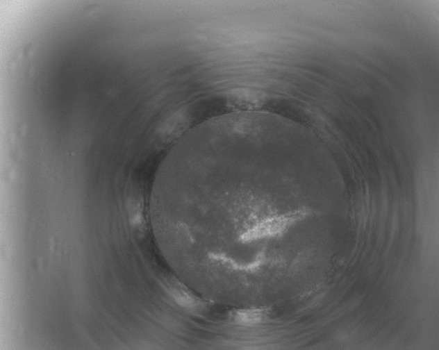 X0000067500134200604150117