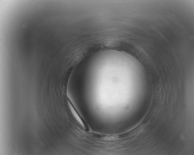 X0000067500135200604150117