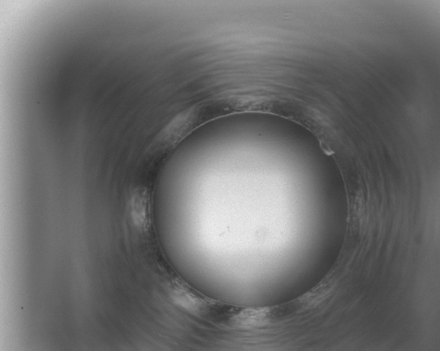 X0000067500138200604150117