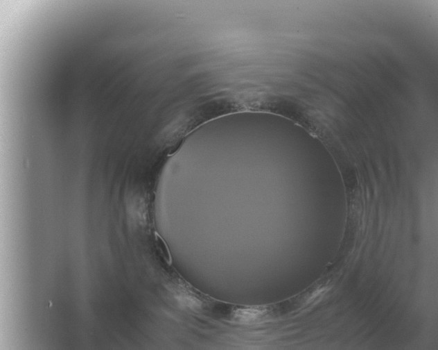 X0000067500139200604150117