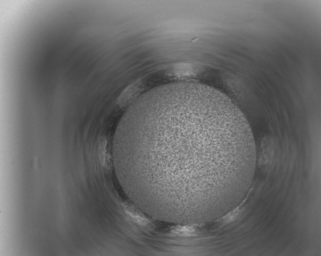 X0000067500140200604150117