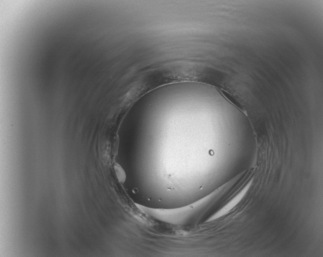 X0000067500141200604150117