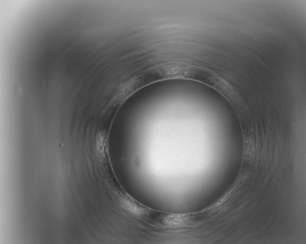 X0000067500142200604150117