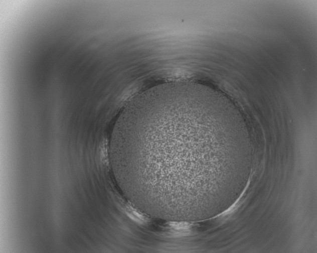 X0000067500144200604150117