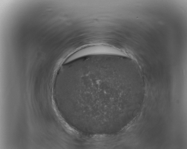 X0000067500145200604150116