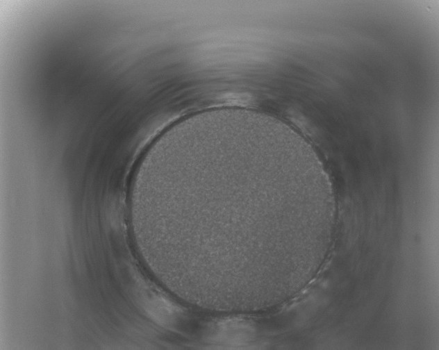 X0000067500146200604150116