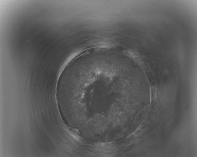 X0000067500147200604150116