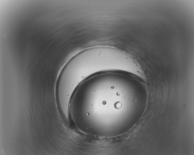 X0000067500148200604150116