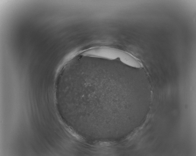 X0000067500149200604150116