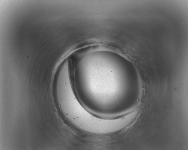 X0000067500150200604150116