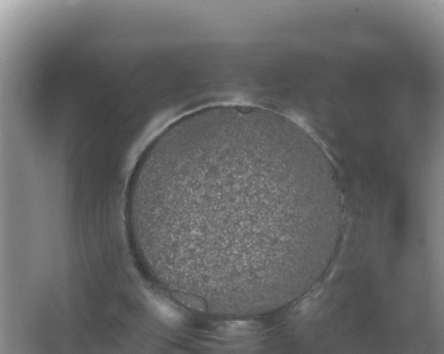 X0000067500151200604150116