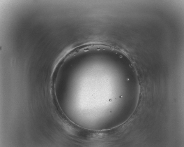 X0000067500152200604150116