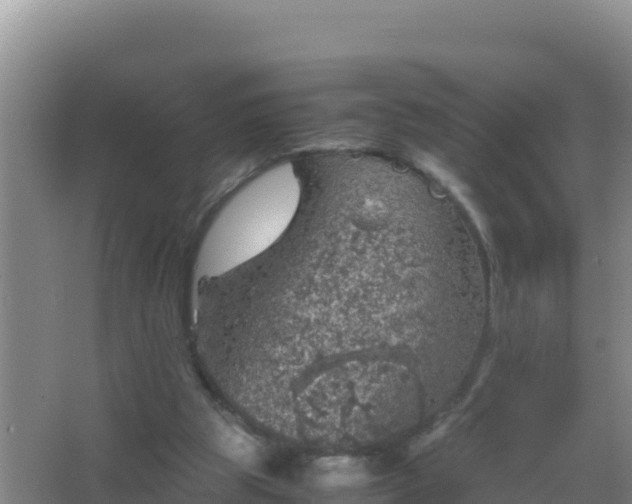 X0000067500153200604150116