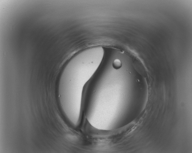 X0000067500154200604150116