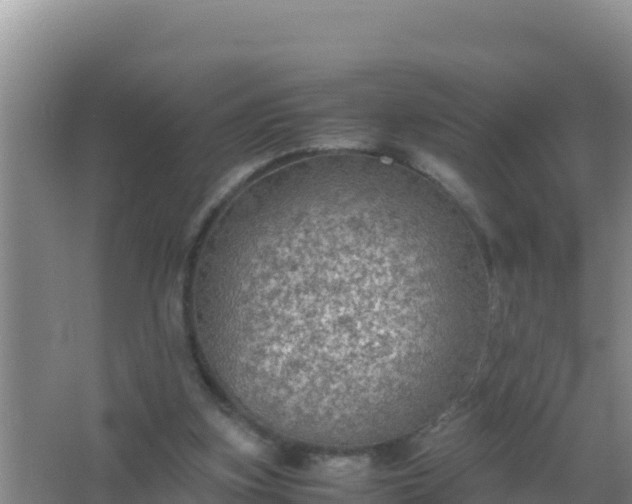 X0000067500155200604150116