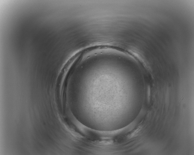 X0000067500156200604150116