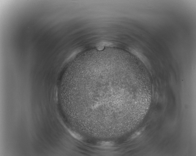 X0000067500157200604150116