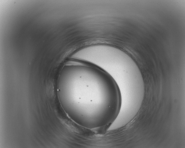 X0000067500158200604150116