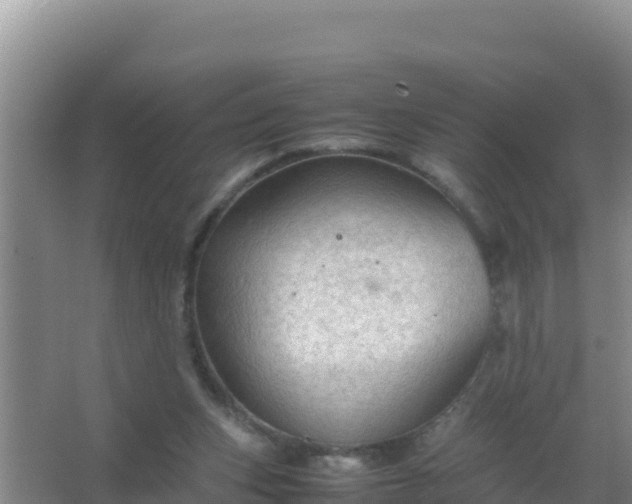 X0000067500159200604150117