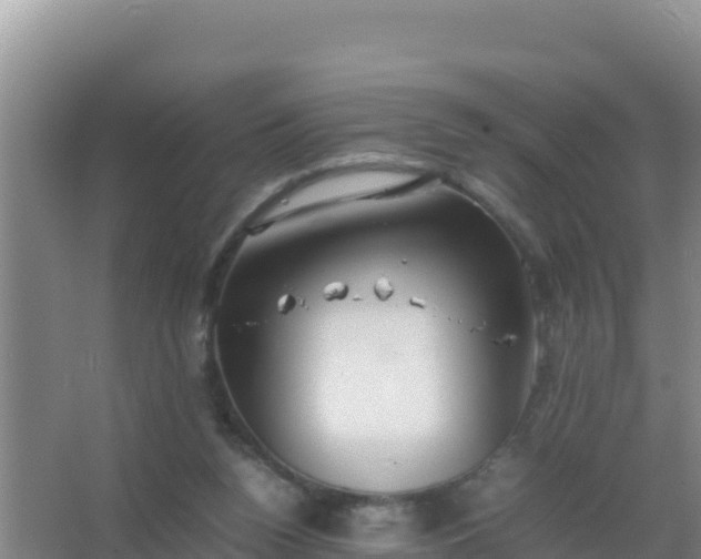 X0000067500160200604150117