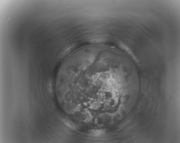 X0000067500161200604150117