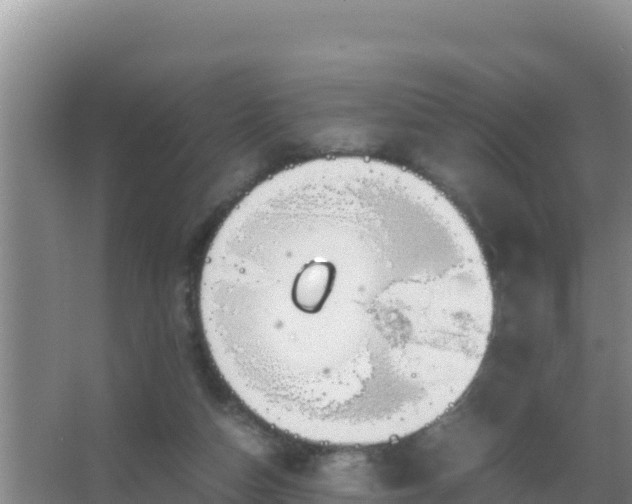 X0000067500162200604150117