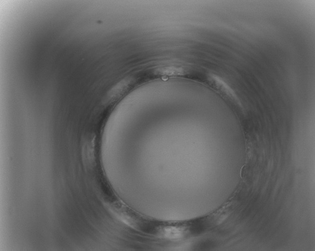 X0000067500163200604150117