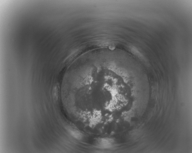 X0000067500165200604150117