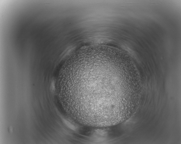 X0000067500166200604150117