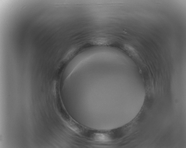 X0000067500167200604150117