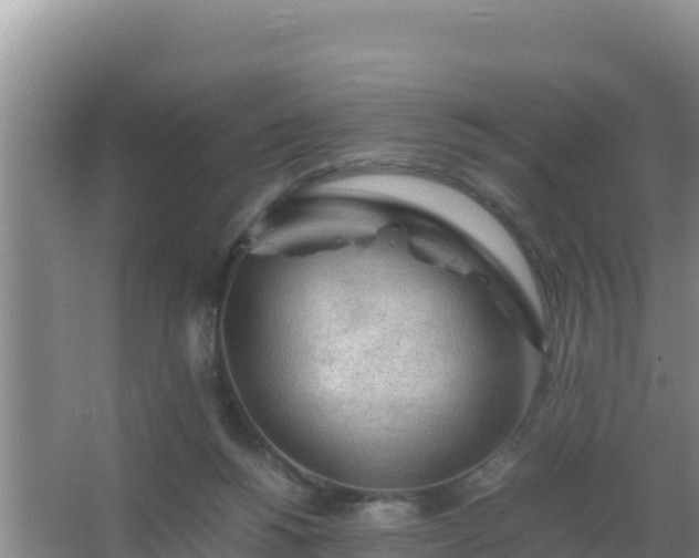 X0000067500168200604150117