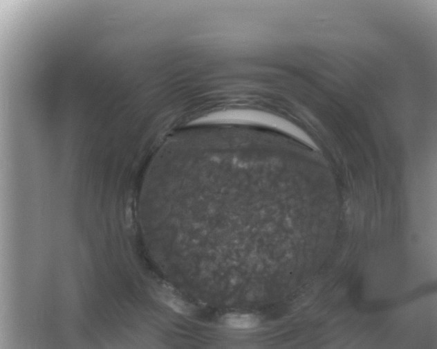 X0000067500169200604150117